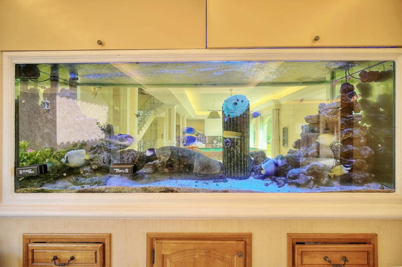 "Au Havre De Paix" 5 Etoiles Prestige Jacuzzi, Hammam, Sauna, Piscine Chauffee Mougins Cannes Grasse Екстер'єр фото